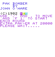 Pak Bomber
